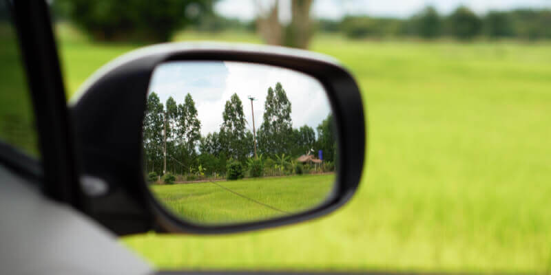 Drivers side wing mirror with trees and grass in reflection
